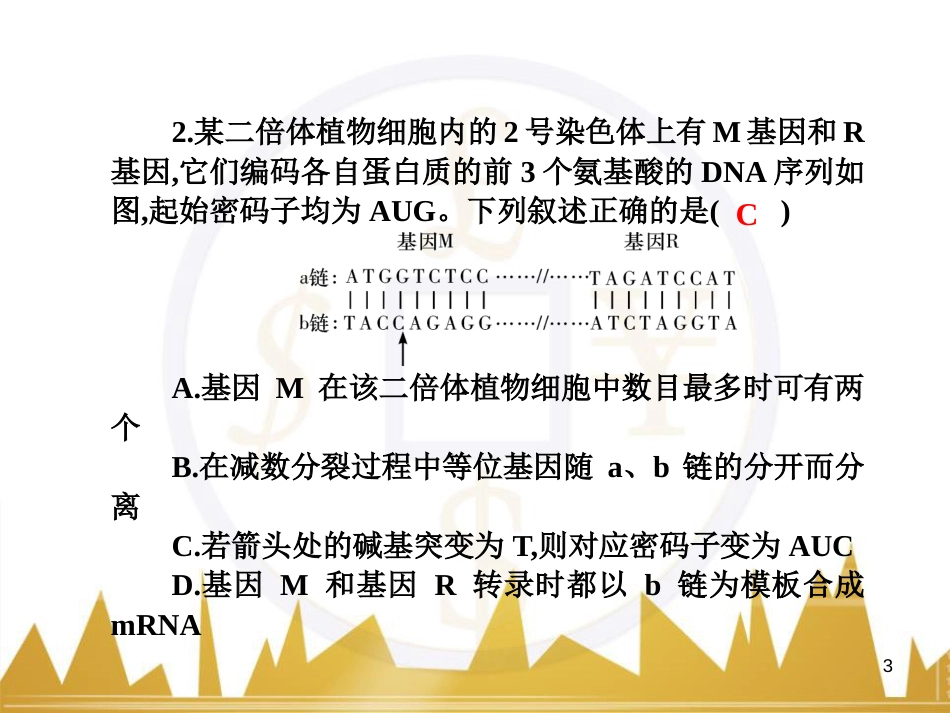 九年级化学上册 绪言 化学使世界变得更加绚丽多彩课件 （新版）新人教版 (9)_第3页