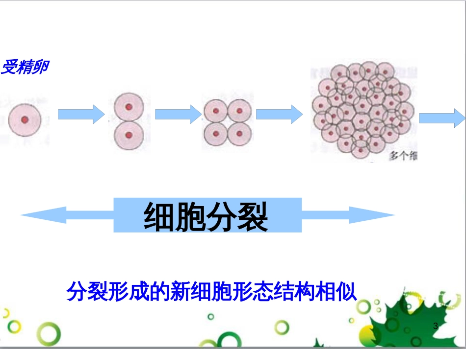 七年级英语上册 周末读写训练 WEEK TWO课件 （新版）人教新目标版 (155)_第3页