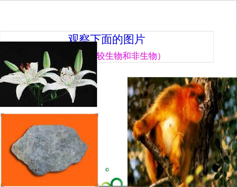 七年级英语上册 周末读写训练 WEEK TWO课件 （新版）人教新目标版 (188)_第2页