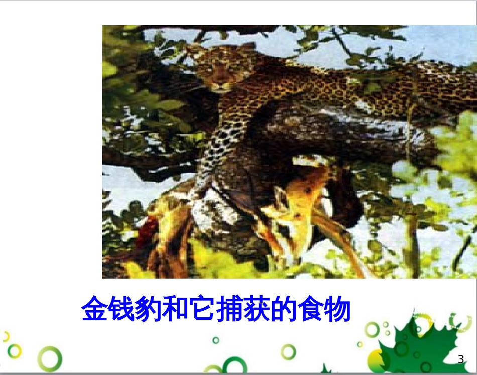 七年级英语上册 周末读写训练 WEEK TWO课件 （新版）人教新目标版 (188)_第3页