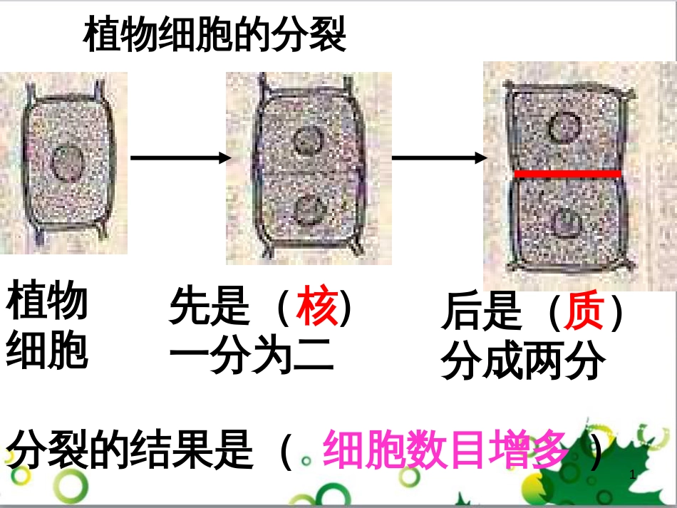 七年级英语上册 周末读写训练 WEEK TWO课件 （新版）人教新目标版 (156)_第1页