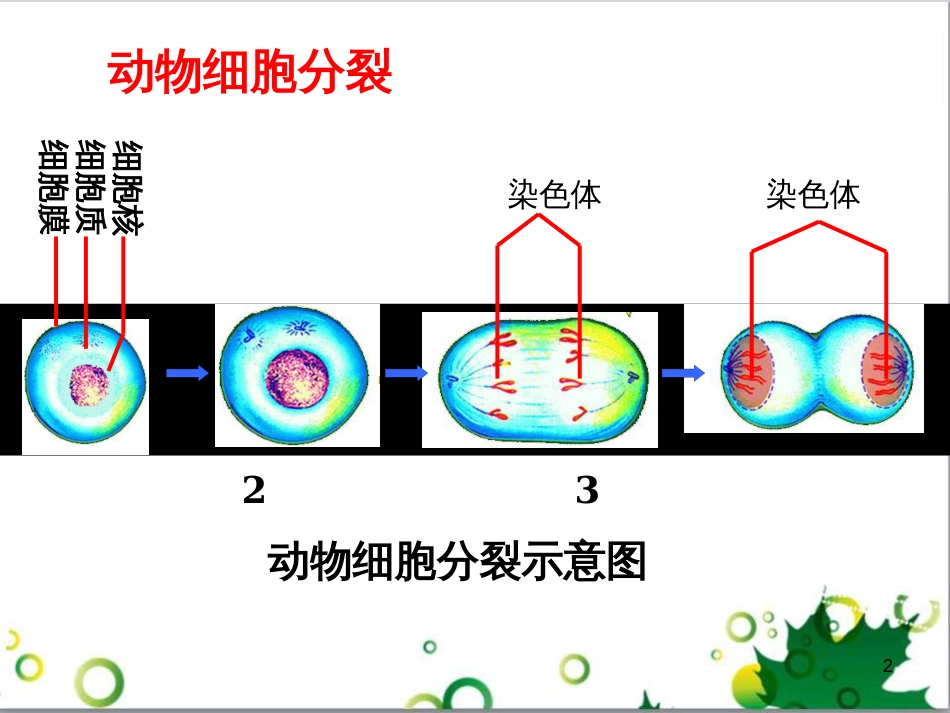 七年级英语上册 周末读写训练 WEEK TWO课件 （新版）人教新目标版 (156)_第2页