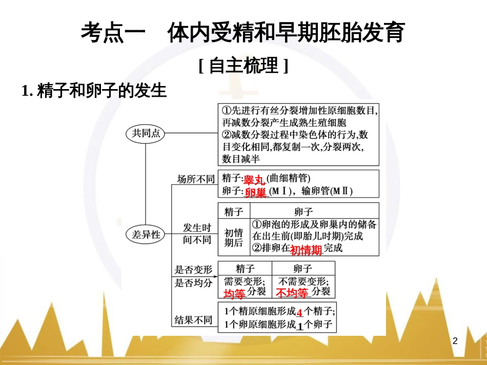 高考语文一轮总复习 第6部分 写作 专题十七 记叙文写作训练（一）记叙文体编写提纲训练课件 (21)_第2页