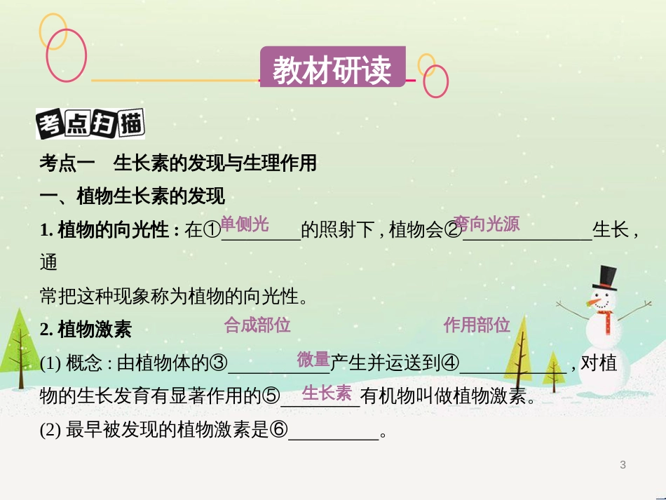 高考生物一轮复习 第八单元 生物的进化（第28课时）生物的进化课件 (36)_第3页