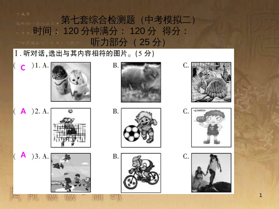 九年级英语全册 随堂特训 中考模拟二课件 （新版）人教新目标版_第1页