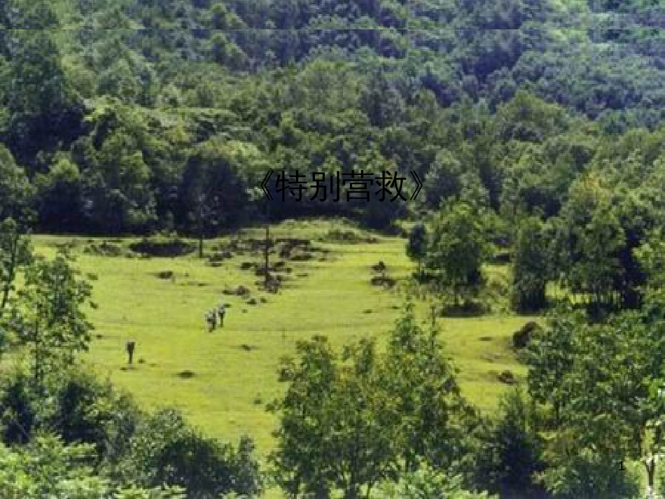 八年级语文上册《祖国的大豆》课件 浙教版 (4)_第1页