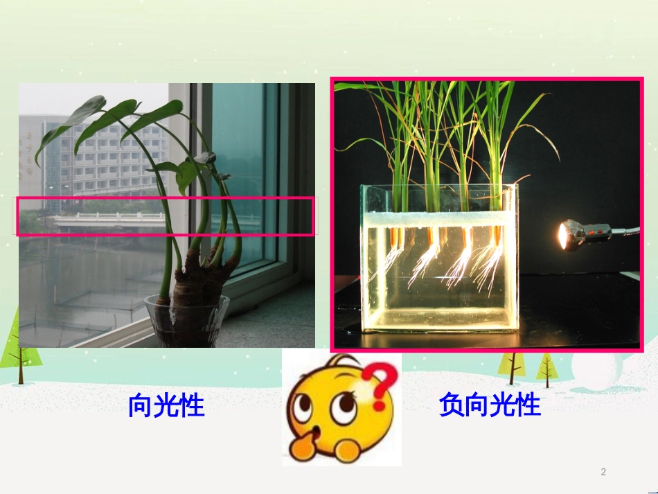 高中地理 第二章 城市与城市化 2.1 城市内部空间结构课件 新人教版必修2 (19)_第2页