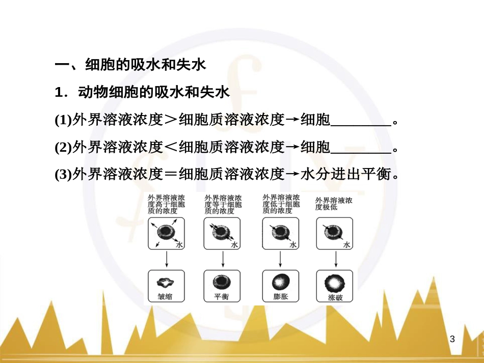 高中语文 异彩纷呈 千姿百态 传记体类举隅 启功传奇课件 苏教版选修《传记选读》 (53)_第3页