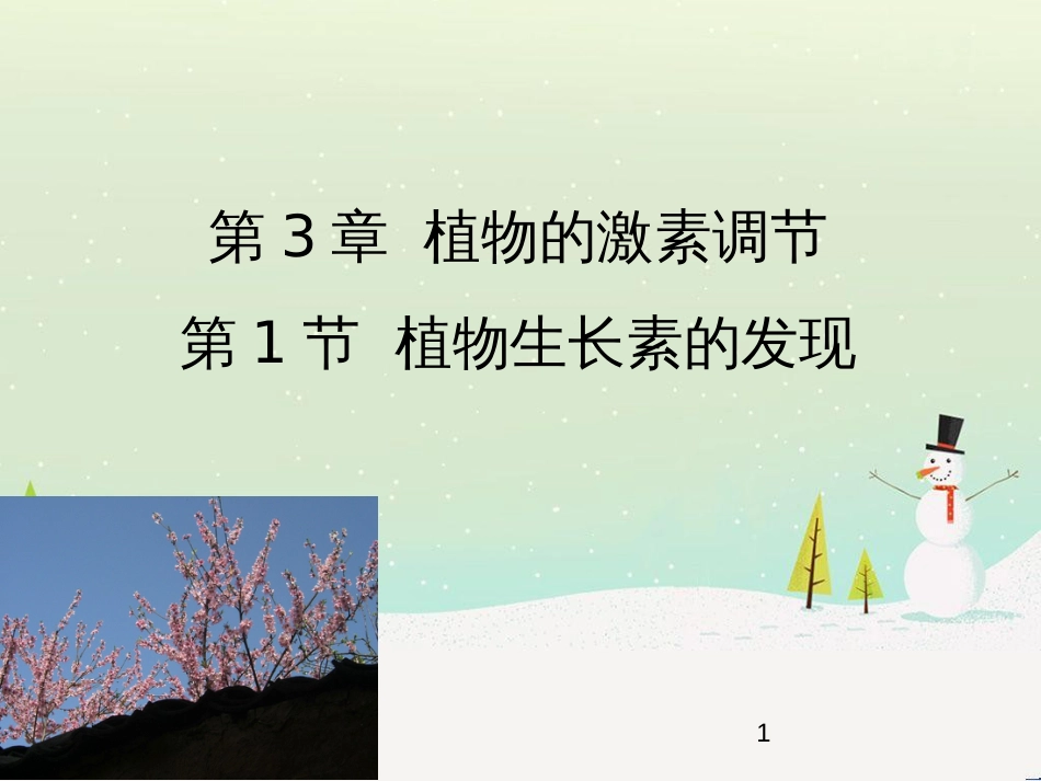 高中地理 第二章 城市与城市化 2.1 城市内部空间结构课件 新人教版必修2 (20)_第1页