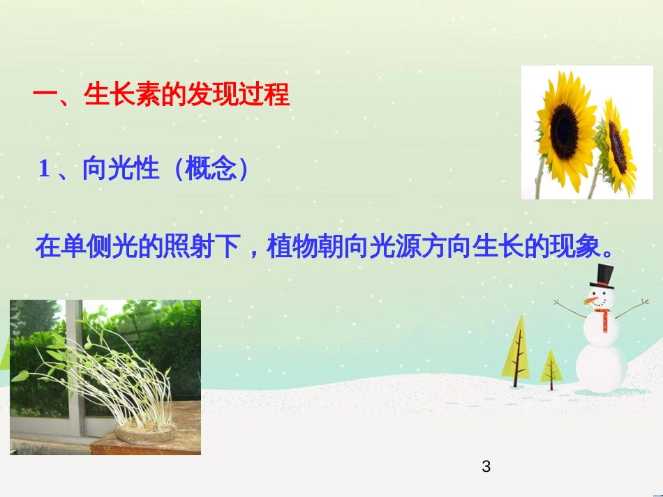 高中地理 第二章 城市与城市化 2.1 城市内部空间结构课件 新人教版必修2 (20)_第3页