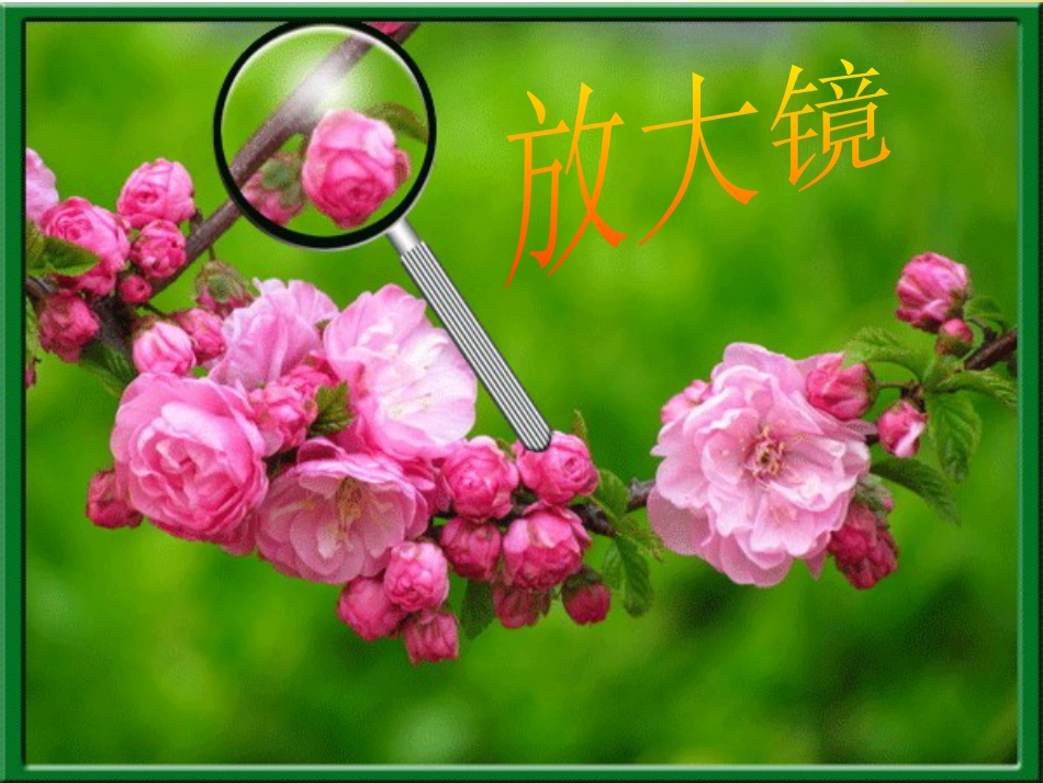 一年级科学上册 第16课 我的削笔刀课件1 青岛版六三制 (1101)_第1页