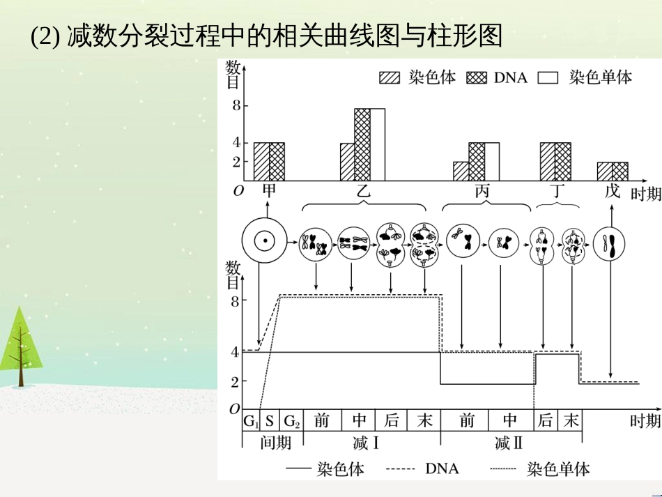 高考地理一轮复习 第1章 宇宙中的地球（含地球和地图）第1节 地球与地球仪课件 湘教版 (6)_第3页