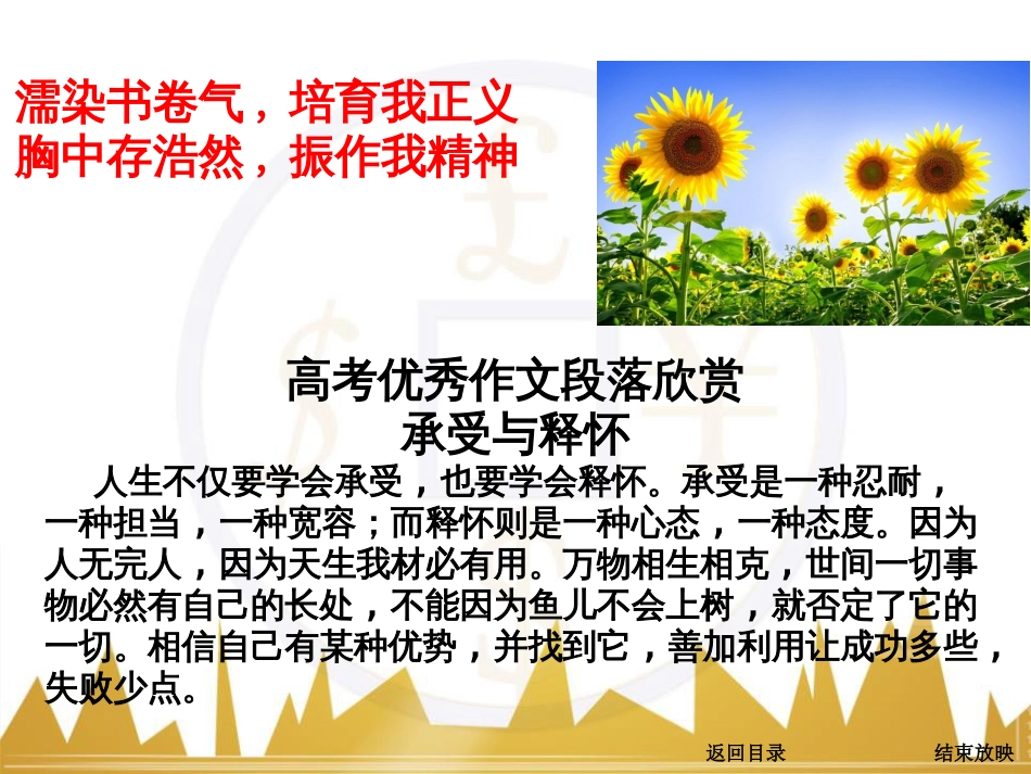 高考语文一轮复习 语言文字运用 正确使用成语（一）课件 新人教版 (36)_第3页