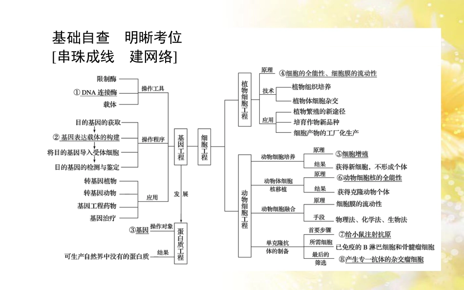 中考数学总复习 专题一 图表信息课件 新人教版 (134)_第2页