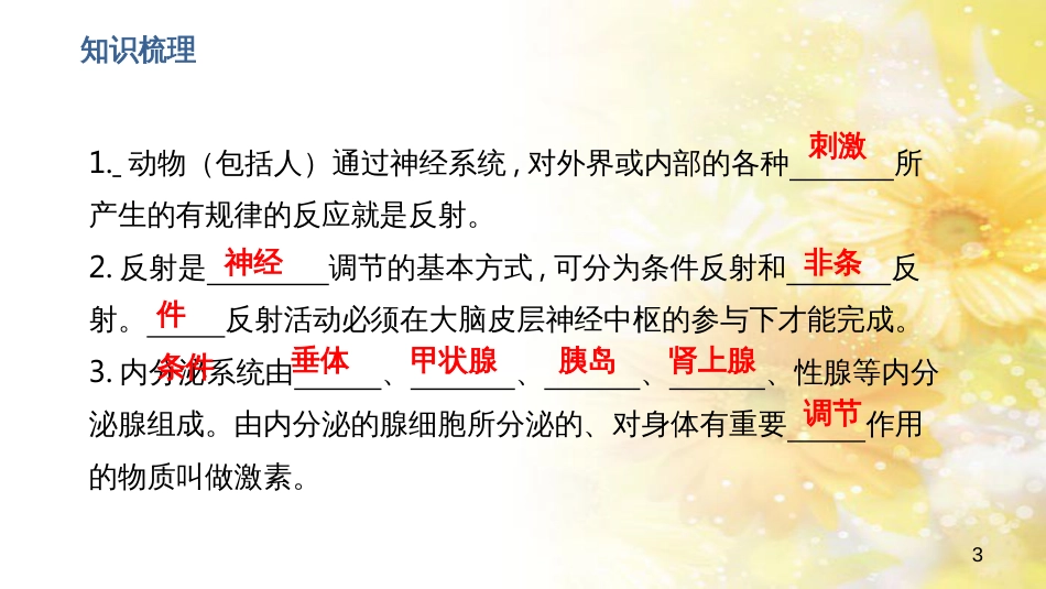 中考生物一轮复习 真菌课件 (21)_第3页