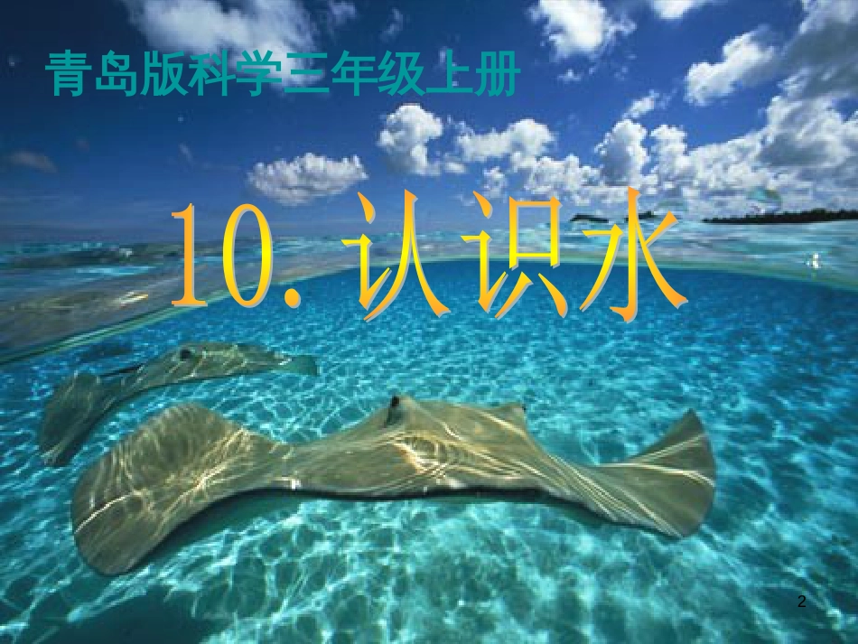 三年级科学上册 4.1 认识水课件4 青岛版五四制_第2页