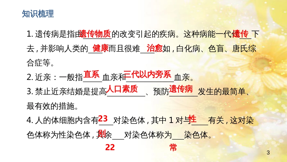 中考生物一轮复习 真菌课件 (33)_第3页
