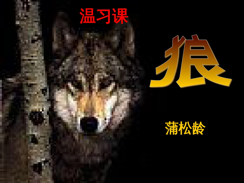 中考语文 文言文复习专题《醉翁亭记》课件 (17)_第1页