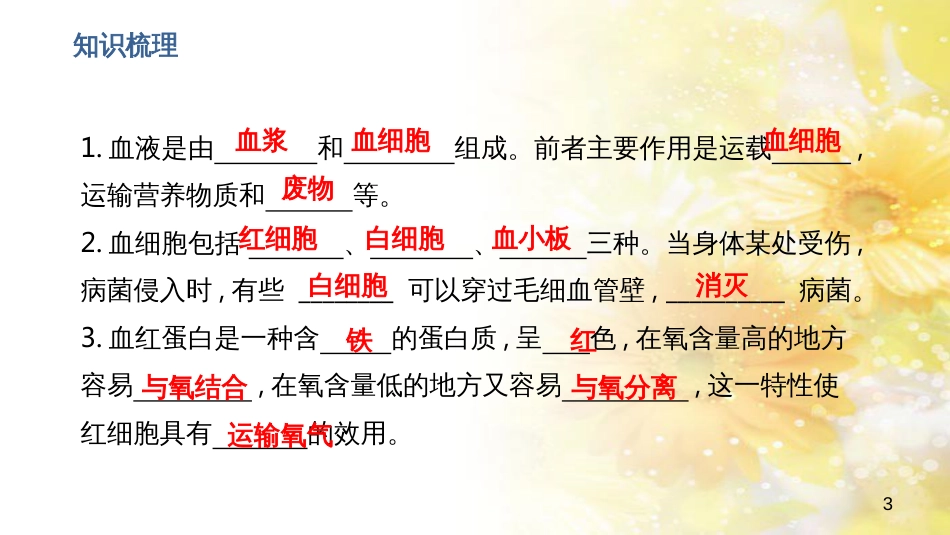 中考生物一轮复习 真菌课件 (17)_第3页