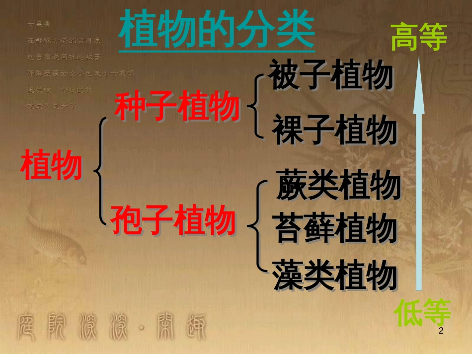 七年级生物下册 第五单元 第10章 水中的生物 第2节 水中的藻类植物授课课件 （新版）苏科版_第2页