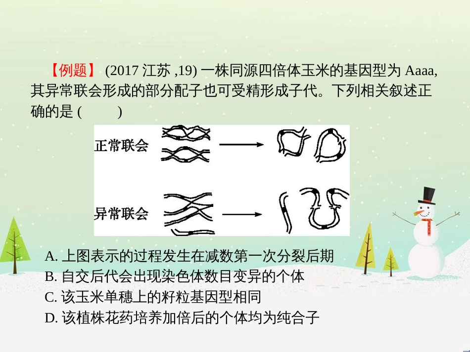 高考化学二轮复习 专题二 化学基本理论 4 物质结构、元素周期律课件 (32)_第3页
