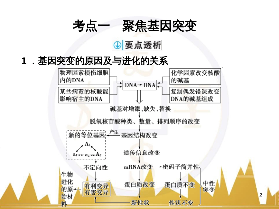 高考语文复习 作文技法点拨 4 议论文论证方法课件 (117)_第2页