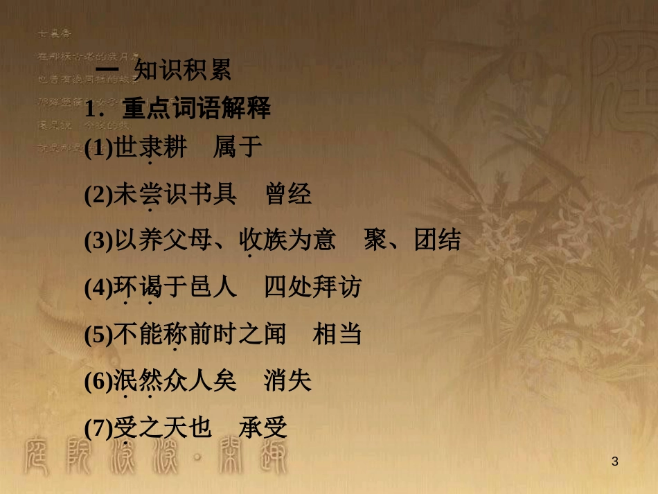 中考语文 文言文复习专题《醉翁亭记》课件 (25)_第3页