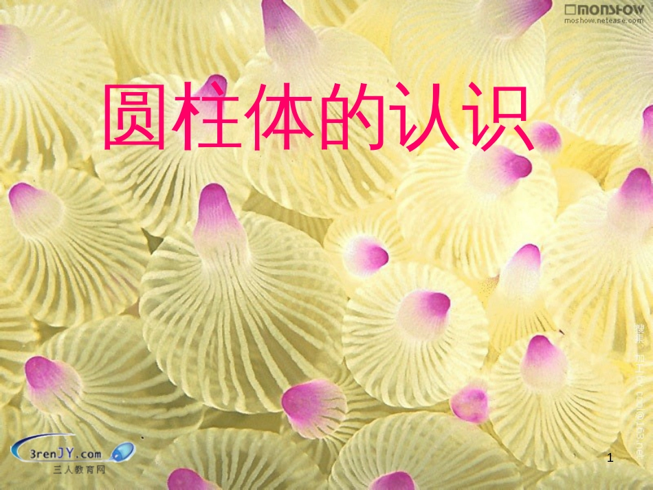 六年级数学下册 二、圆柱和圆锥 1《圆柱和圆锥的认识》圆柱体的认识课件 苏教版_第1页