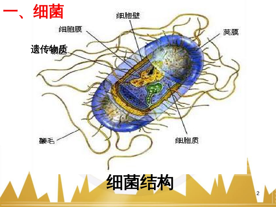 五年级英语下册《Recycle 2》课件4 人教PEP版 (225)_第2页