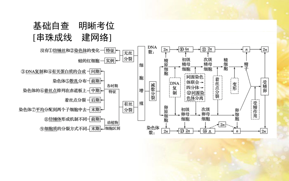 中考数学总复习 专题一 图表信息课件 新人教版 (136)_第2页