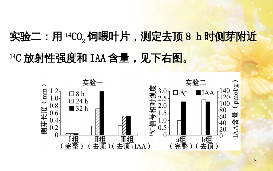 中考数学总复习 专题一 图表信息课件 新人教版 (90)_第3页