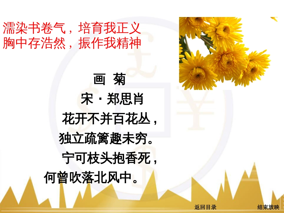 高考语文一轮复习 语言文字运用 正确使用成语（一）课件 新人教版 (22)_第3页