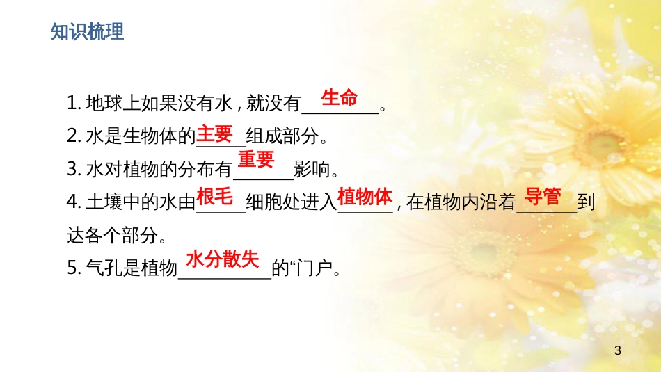 中考生物一轮复习 真菌课件 (11)_第3页