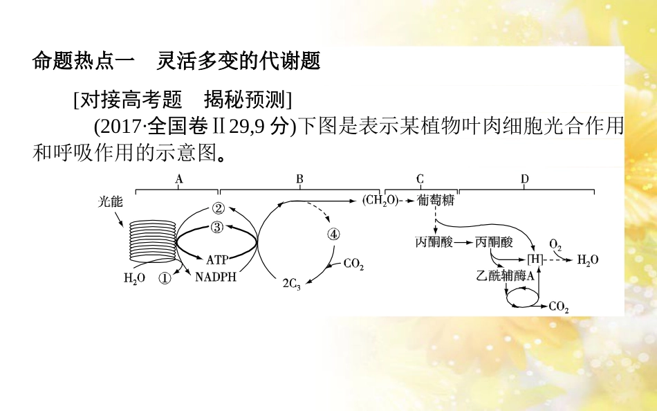 中考数学总复习 专题一 图表信息课件 新人教版 (129)_第2页