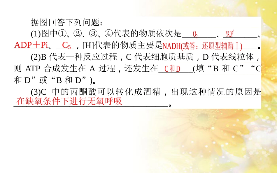 中考数学总复习 专题一 图表信息课件 新人教版 (129)_第3页