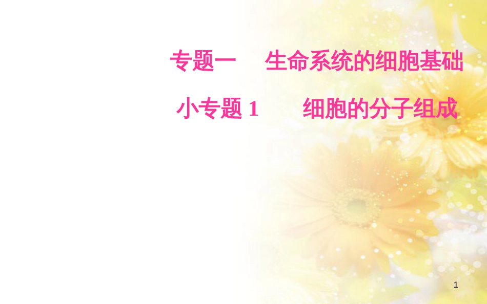 中考数学总复习 专题一 图表信息课件 新人教版 (94)_第1页