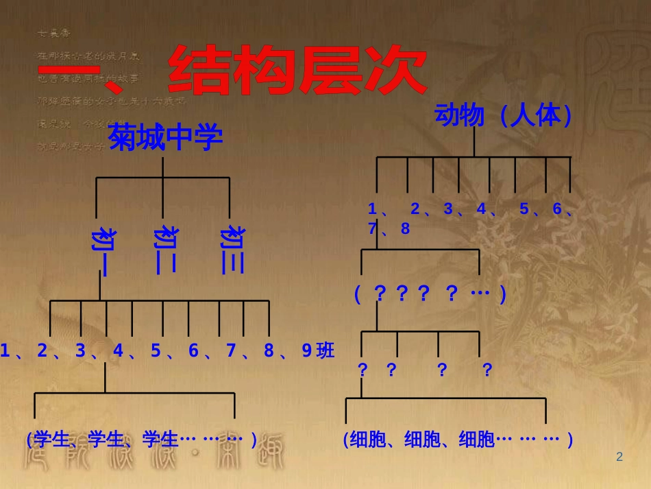 七年级生物上册 2.2.2 动物体的结构层次课件 （新版）新人教版_第2页