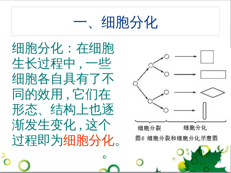 七年级英语上册 周末读写训练 WEEK TWO课件 （新版）人教新目标版 (159)_第3页