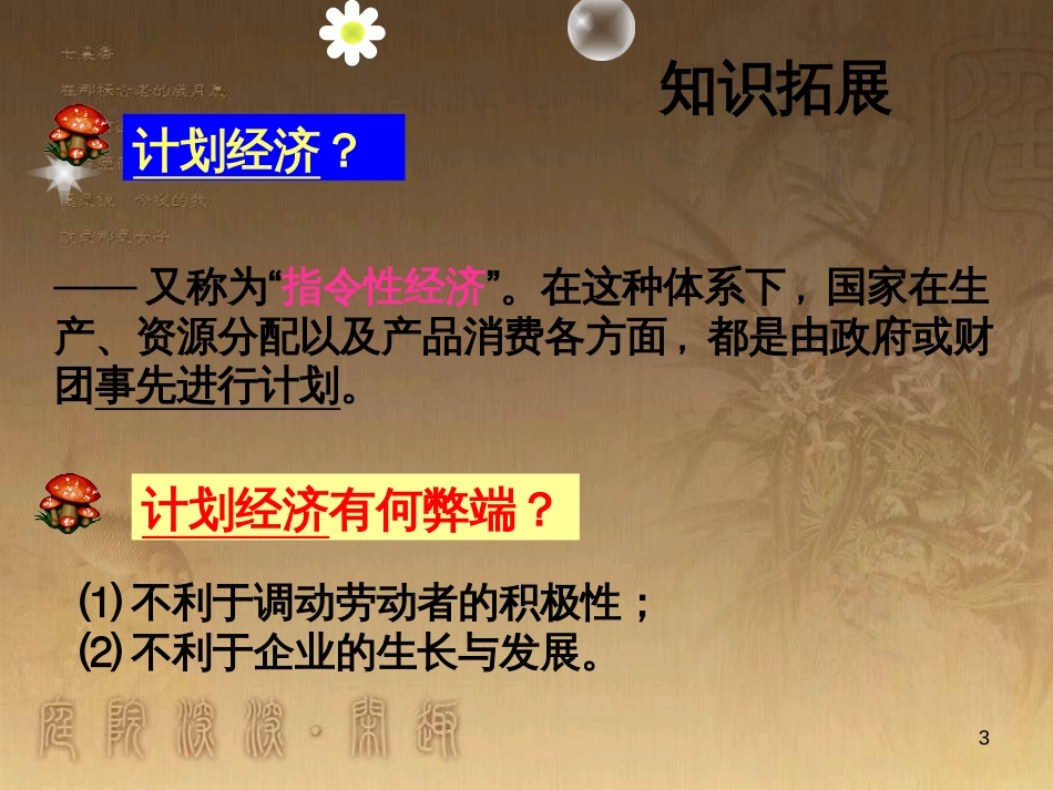 九年级政治全册 第二单元 共同富裕 社会和谐 2.1 走共同富裕道路课件2 （新版）粤教版_第3页