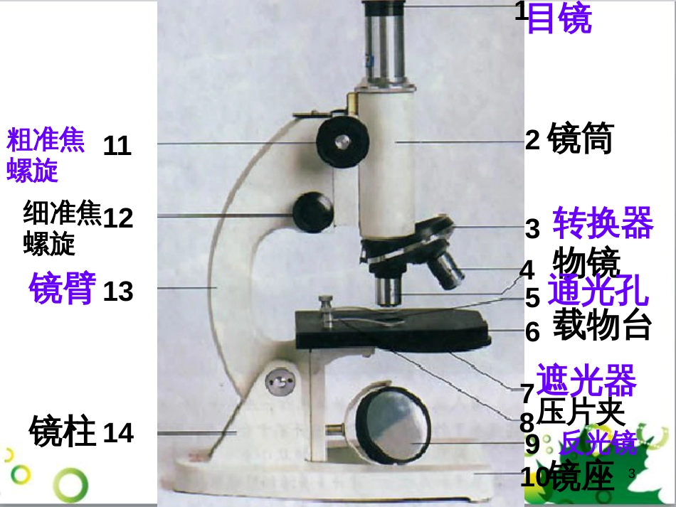 七年级英语上册 周末读写训练 WEEK TWO课件 （新版）人教新目标版 (172)_第3页