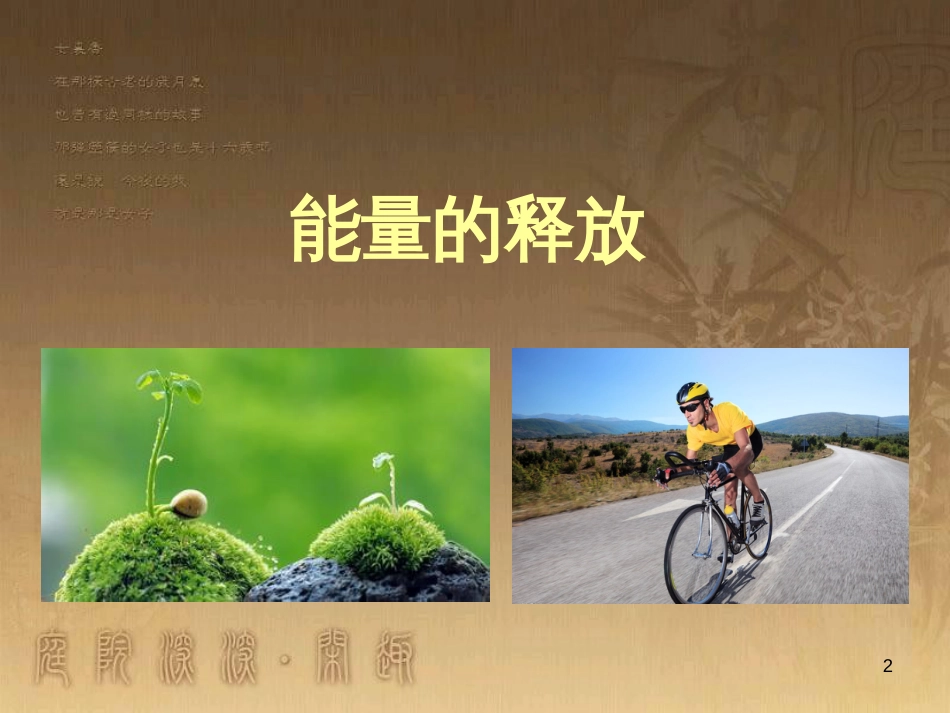 七年级生物上册 第三单元 第7章 能量的释放与呼吸复习课件 （新版）苏科版_第2页