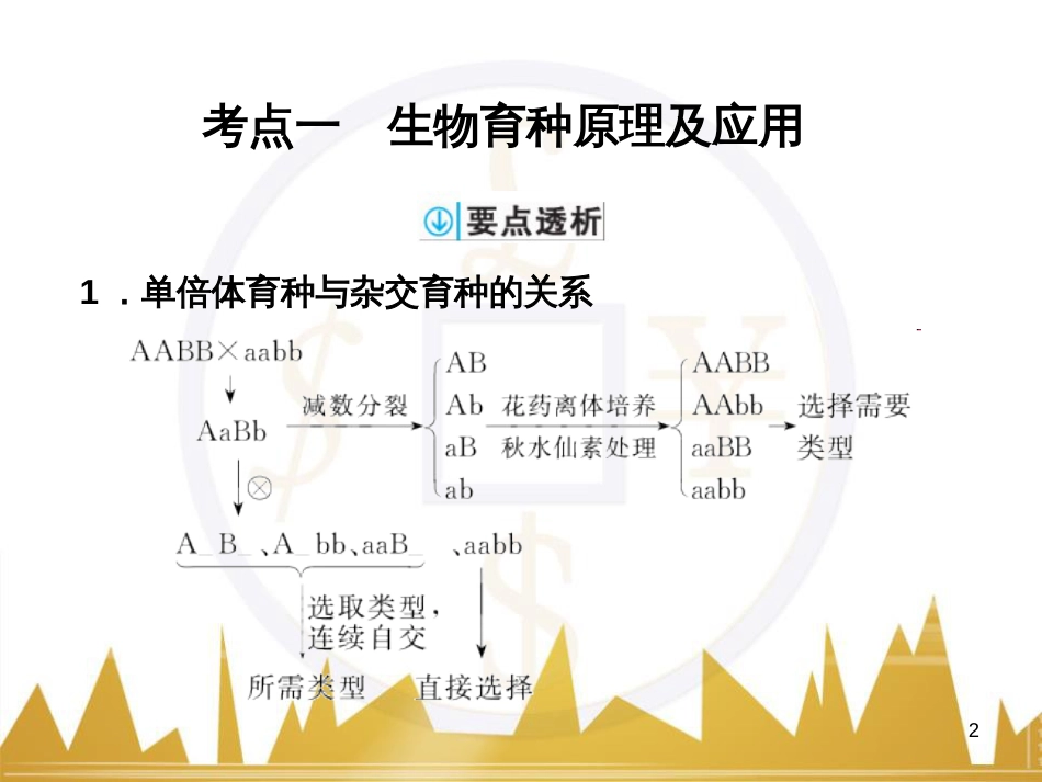 高考语文复习 作文技法点拨 4 议论文论证方法课件 (120)_第2页
