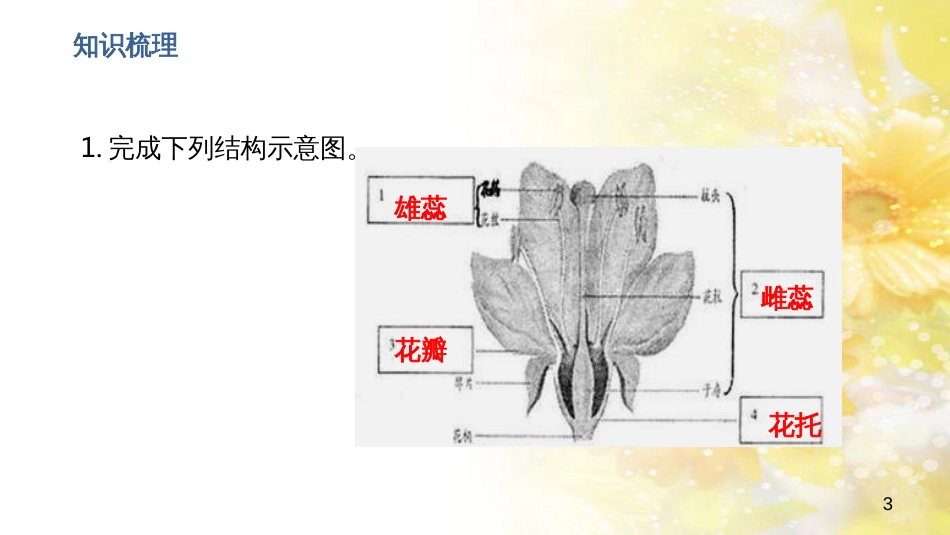 中考生物一轮复习 真菌课件 (10)_第3页