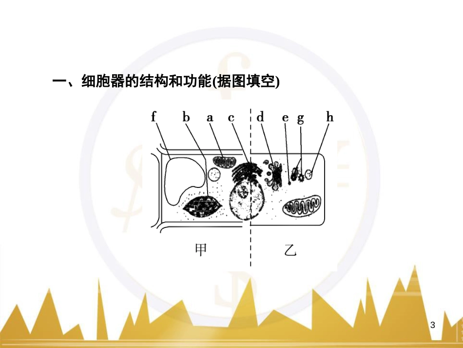 高中语文 异彩纷呈 千姿百态 传记体类举隅 启功传奇课件 苏教版选修《传记选读》 (52)_第3页