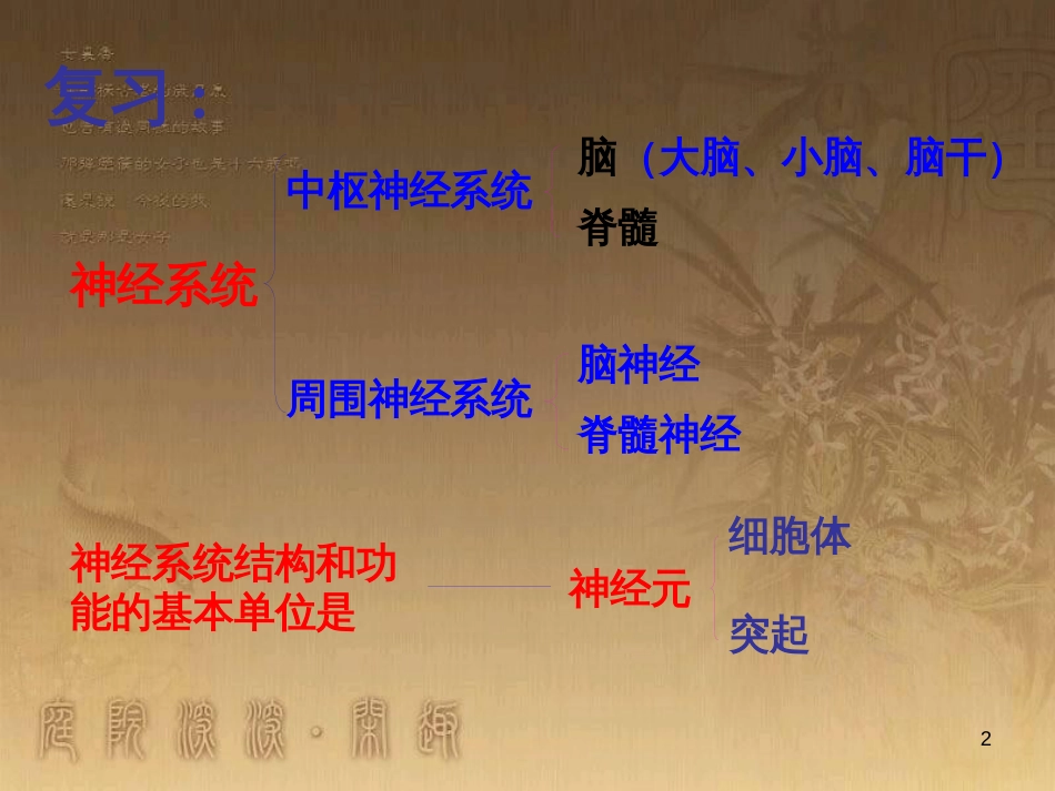 七年级生物下册 4.6.3 神经调节的基本方式课件 （新版）新人教版_第2页