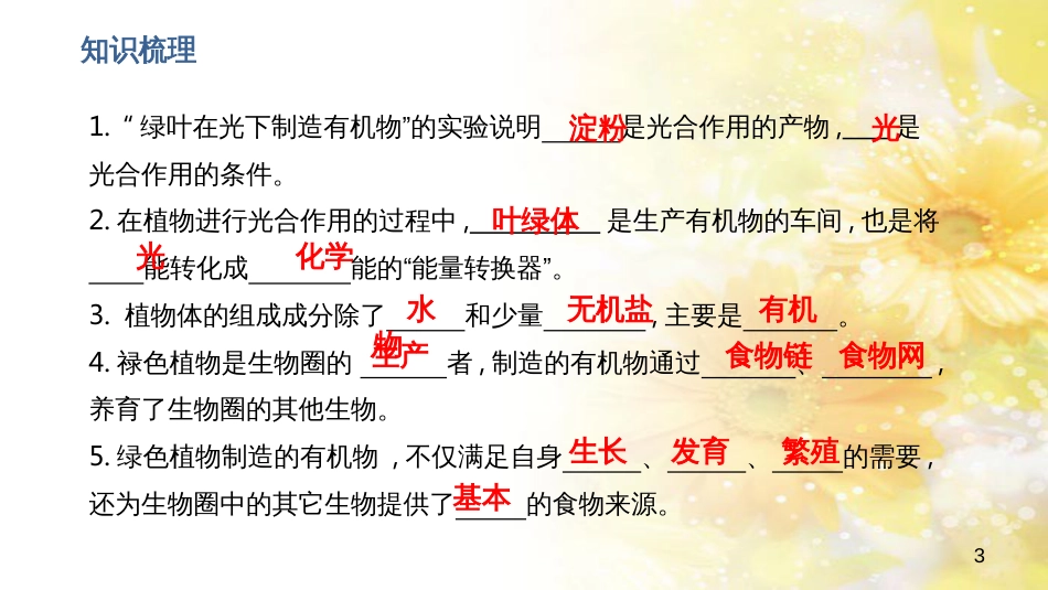 中考生物一轮复习 真菌课件 (12)_第3页