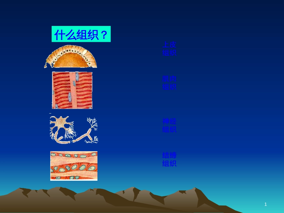 七年级英语上册 周末读写训练 WEEK TWO课件 （新版）人教新目标版 (158)_第1页