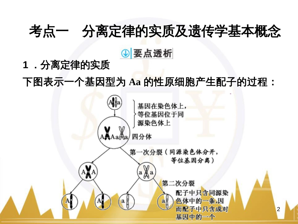 高考语文复习 作文技法点拨 4 议论文论证方法课件 (130)_第2页