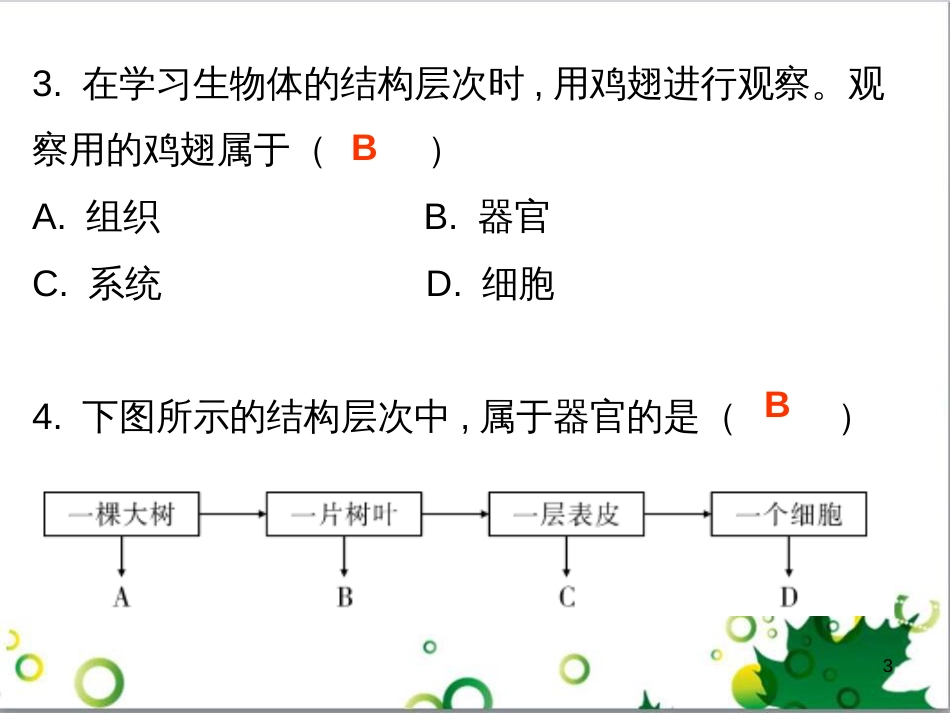 七年级英语上册 周末读写训练 WEEK TWO课件 （新版）人教新目标版 (131)_第3页