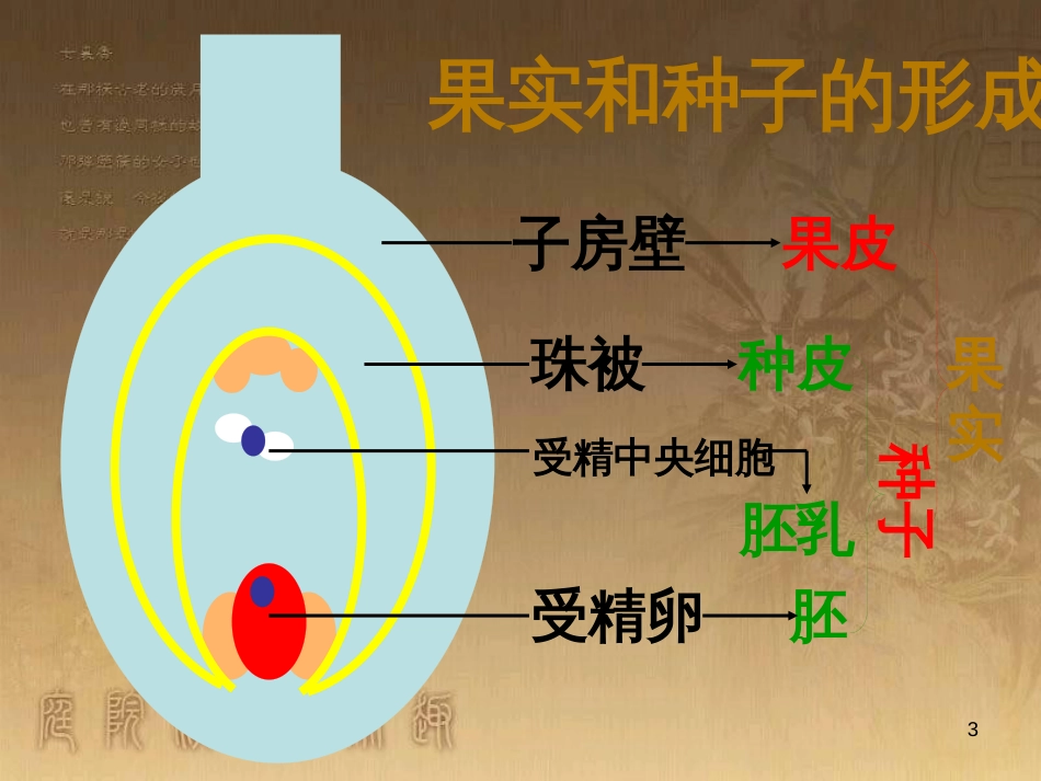 八年级生物上册 4.4.1 生物的遗传和变异课件 （新版）济南版 (4)_第3页